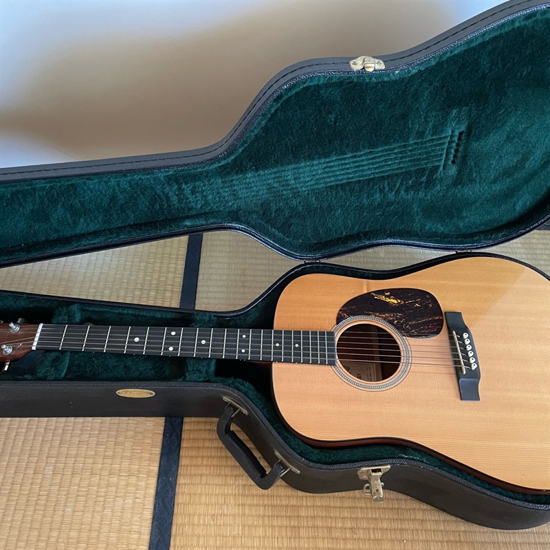 MARTIN D-16GTの画像